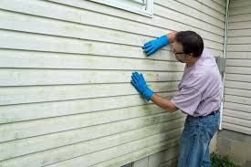 Best Siding Removal and Disposal  in Winter Gardens, CA